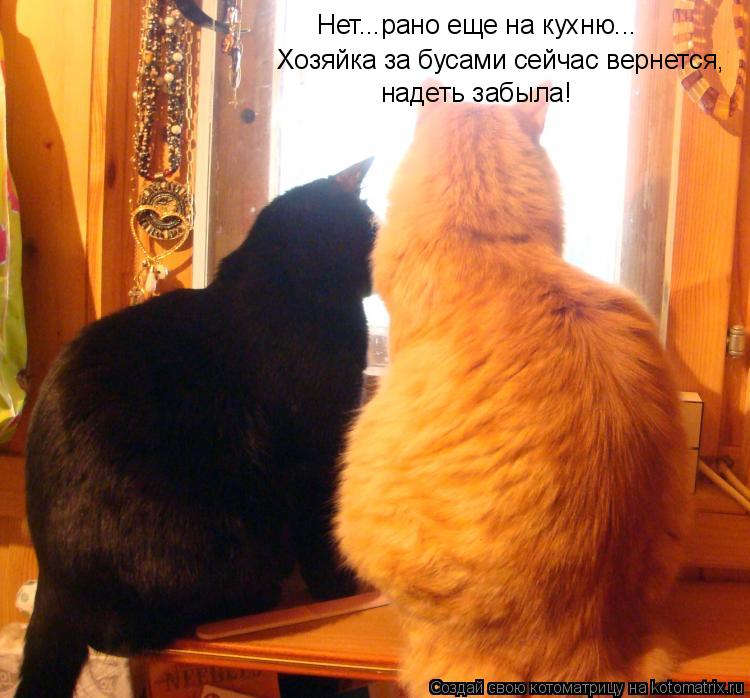 Котоматрица: Хозяйка за бусами сейчас вернется, надеть забыла! Нет...рано еще на кухню...