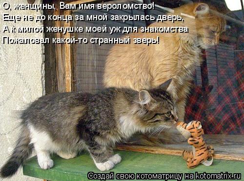 Котоматрица: О, женщины, Вам имя вероломство! Еще не до конца за мной закрылась дверь, А к милой женушке моей уж для знакомства Пожаловал какой-то странны