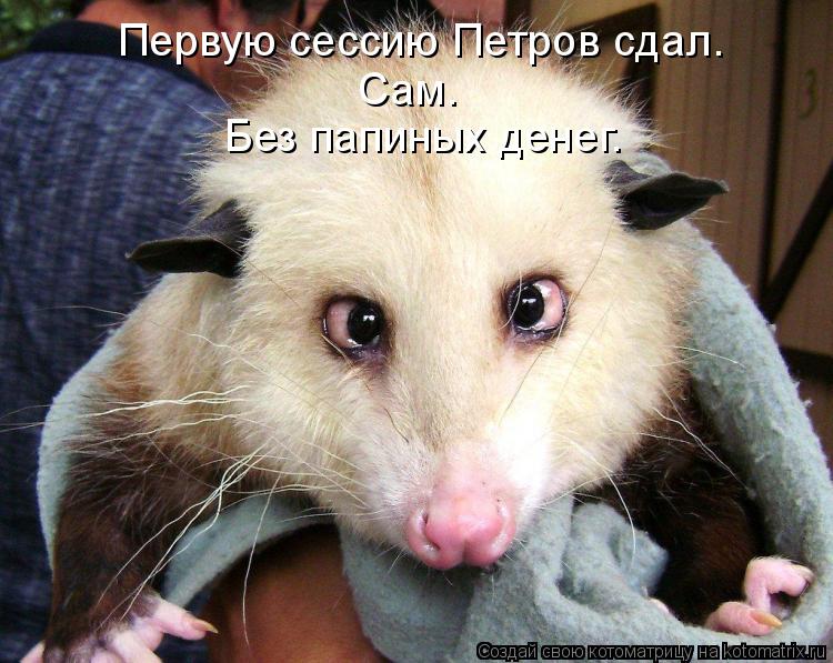 Котоматрица: Первую сессию Петров сдал. Сам. Без папиных денег.