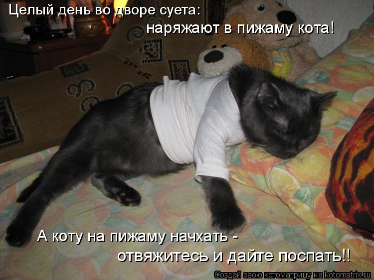 Котоматрица: Целый день во дворе суета: наряжают в пижаму кота! А коту на пижаму начхать -  отвяжитесь и дайте поспать!!