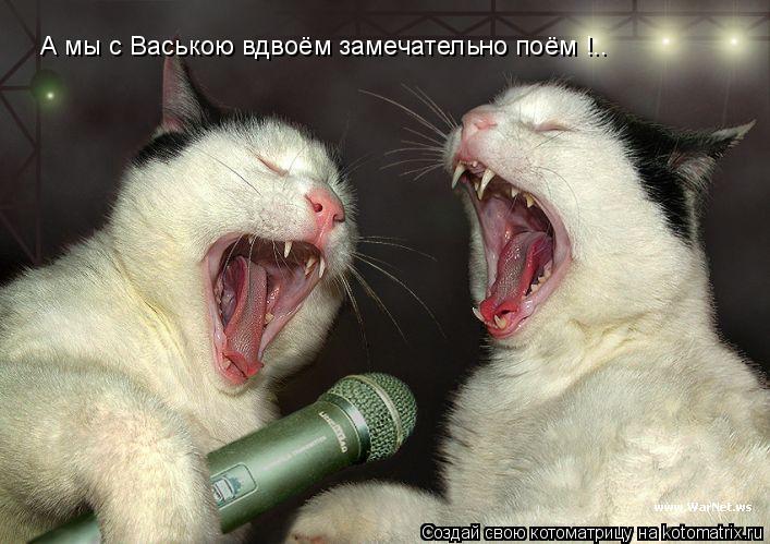 Котоматрица: А мы с Ваською вдвоём замечательно поём !..