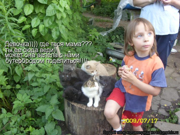Котоматрица: Девочка)))) где твоя мама??? ты ее сюда веди)  может она велела с нами  бутербродом поделиться!!!!