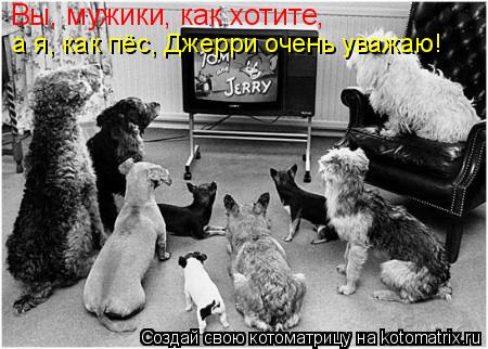Котоматрица: Вы, мужики, как хотите, а я, как пёс, Джерри очень уважаю!