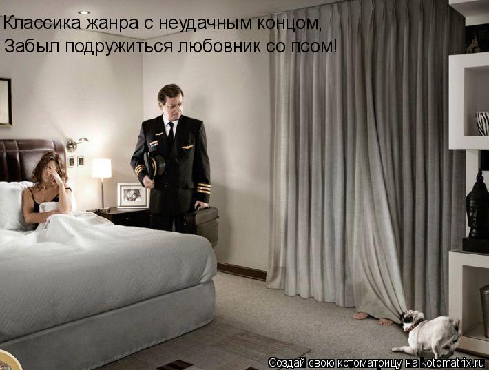 Забыл подружиться любовник со псом! Классика жанра с неудачным концом,... Котоматрица: Забыл подружиться любовник со псом! Классика жанра с неудачным концом,