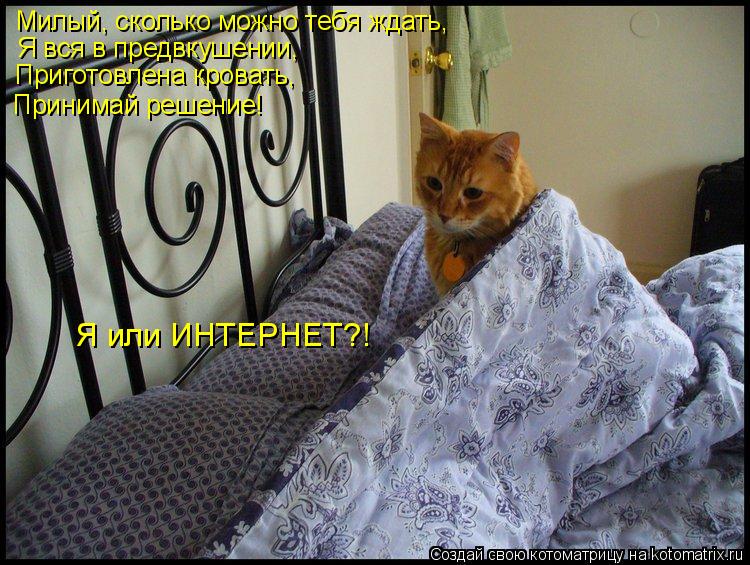 Котоматрица: Милый, сколько можно тебя ждать, Я вся в предвкушении, Приготовлена кровать, Принимай решение! Я или ИНТЕРНЕТ?!