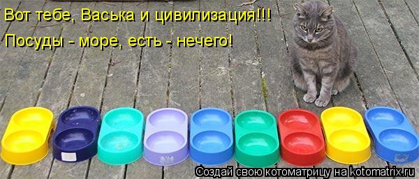 Котоматрица: Вот тебе, Васька и цивилизация!!! Посуды - море, есть - нечего!