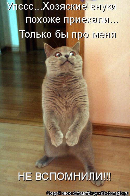 Упссс...Хозяские внуки похоже приехали... Только бы про меня НЕ ВСПОМНИЛИ!!!... Котоматрица: Упссс...Хозяские внуки похоже приехали... Только бы про меня НЕ ВСПОМНИЛИ!!!
