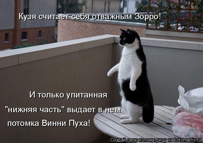 Котоматрица: Кузя считает себя отважным Зорро!  "нижняя часть" выдает в нем потомка Винни Пуха! И только упитанная