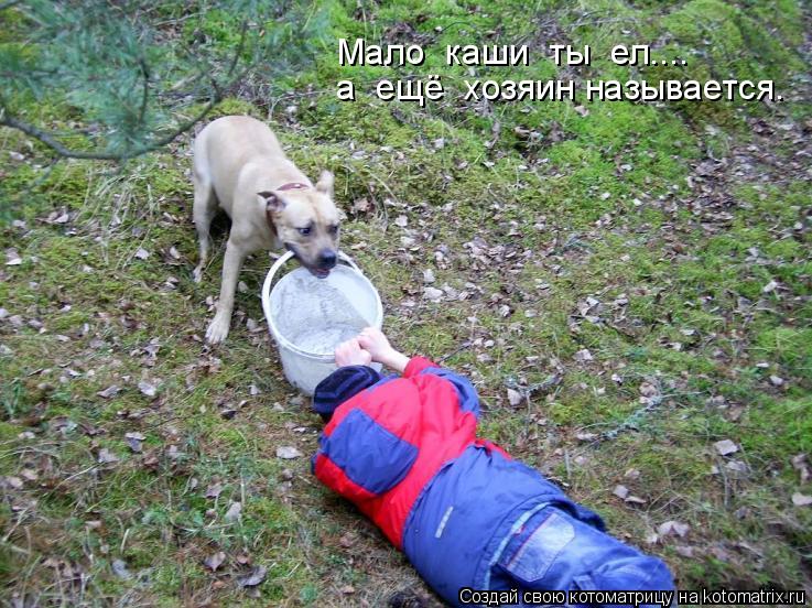 Котоматрица: Мало  каши  ты  ел....  а  ещё  хозяин называется.