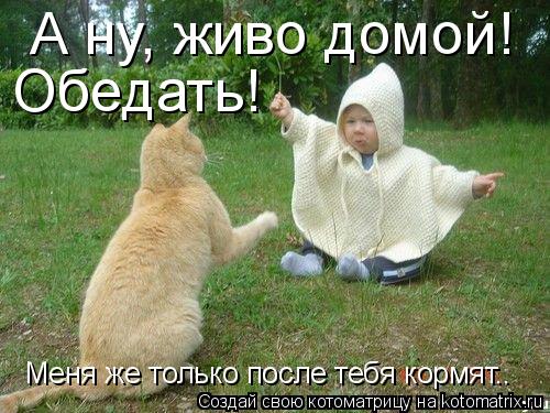 Котоматрица: А ну, живо домой!   Обедать! Меня же только после тебя кормят..