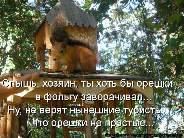 Котоматрица: Слышь, хозяин, ты хоть бы орешки  в фольгу заворачивал... Ну, не верят нынешние туристы что орешки не простые...