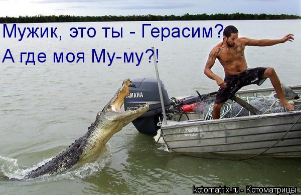Котоматрица: Мужик, это ты - Герасим? А где моя Му-му?!