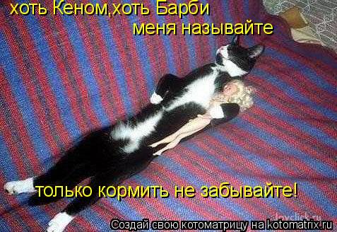 Котоматрица: меня называйте хоть Кеном,хоть Барби только кормить не забывайте!