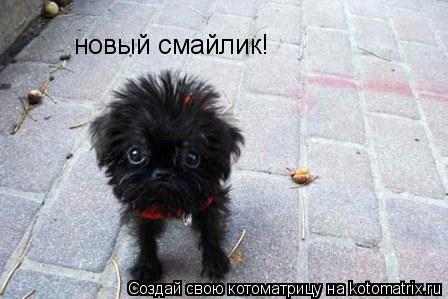 Котоматрица: новый смайлик!