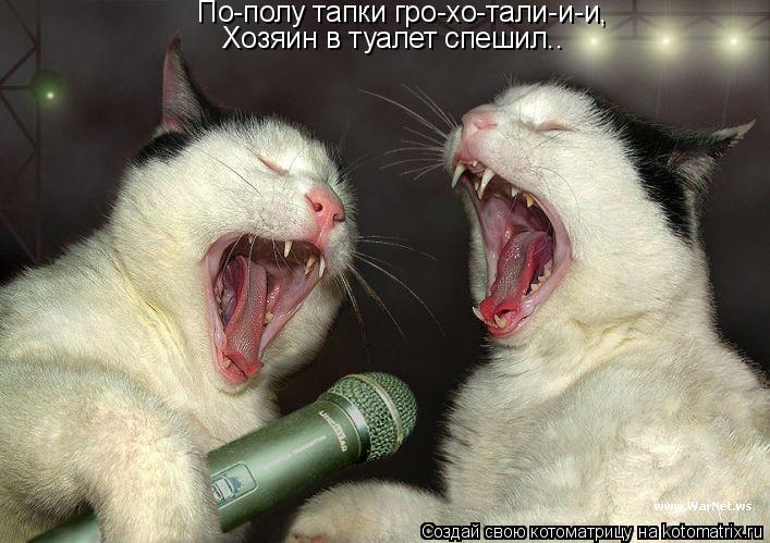 Котоматрица: По-полу тапки гро-хо-тали-и-и, Хозяин в туалет спешил..