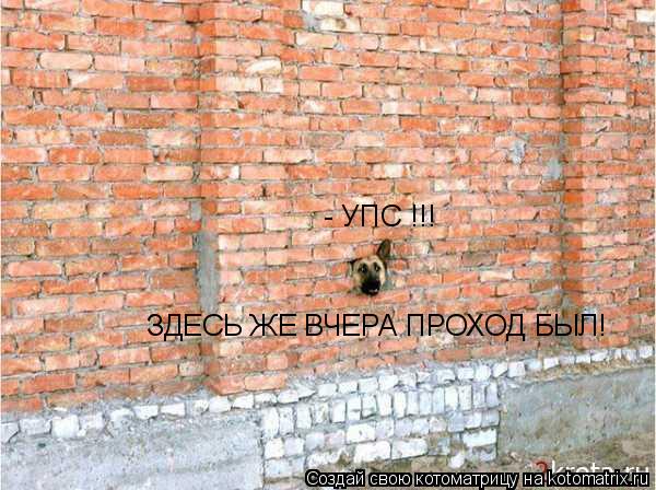 Котоматрица: - УПС !!! ЗДЕСЬ ЖЕ ВЧЕРА ПРОХОД БЫЛ!