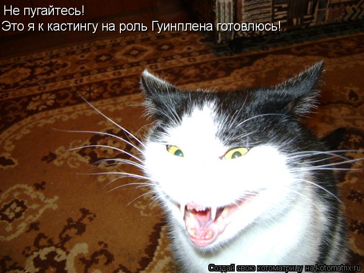Не пугайтесь! Это я к кастингу на роль Гуинплена готовлюсь!... Котоматрица: Не пугайтесь! Это я к кастингу на роль Гуинплена готовлюсь!