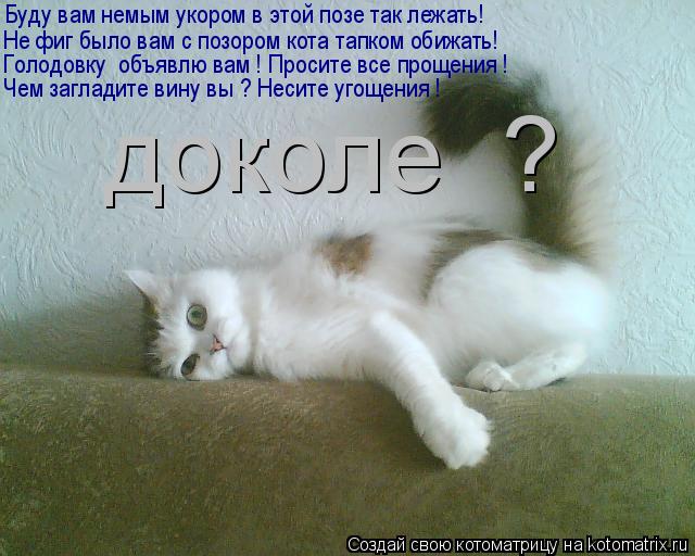 Буду вам немым укором в этой позе так лежать! Не фиг было вам с позором кота тапком обижать! Голодовк... Котоматрица: Буду вам немым укором в этой позе так лежать! Не фиг было вам с позором кота тапком обижать! Голодовку объявлю вам ! Просите все прощения ! Че