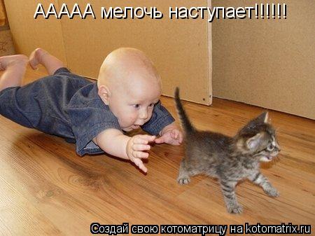 ААААА мелочь наступает!!!!!!... Котоматрица: ААААА мелочь наступает!!!!!!