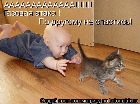 Котоматрица: ААААААААААААА!!!!!!! Газовая атака ! По другому не спастись!