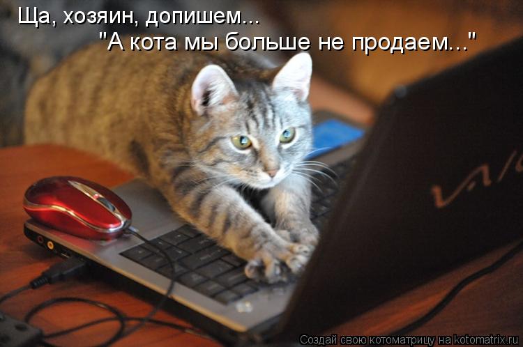 Ща, хозяин, допишем... "А кота мы больше не продаем..."... Котоматрица: Ща, хозяин, допишем... "А кота мы больше не продаем..."