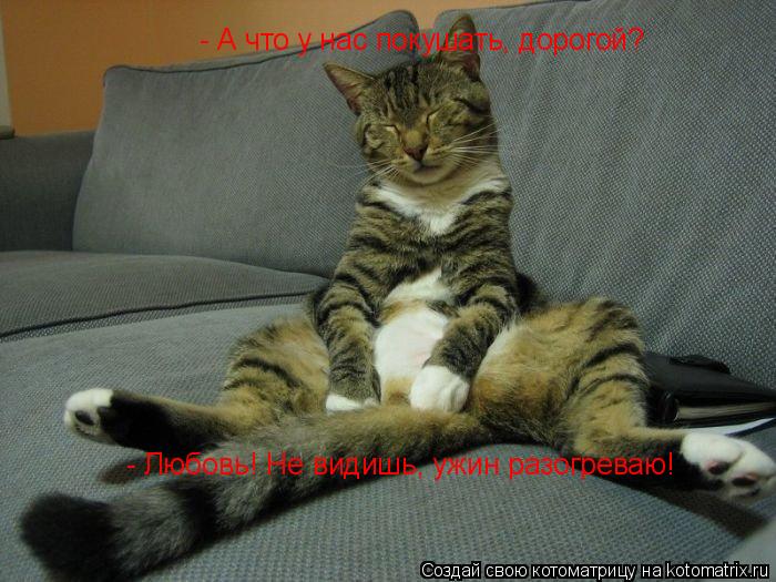 - А что у нас покушать, дорогой? - Любовь! Не видишь, ужин разогреваю!... Котоматрица: - А что у нас покушать, дорогой? - Любовь! Не видишь, ужин разогреваю!