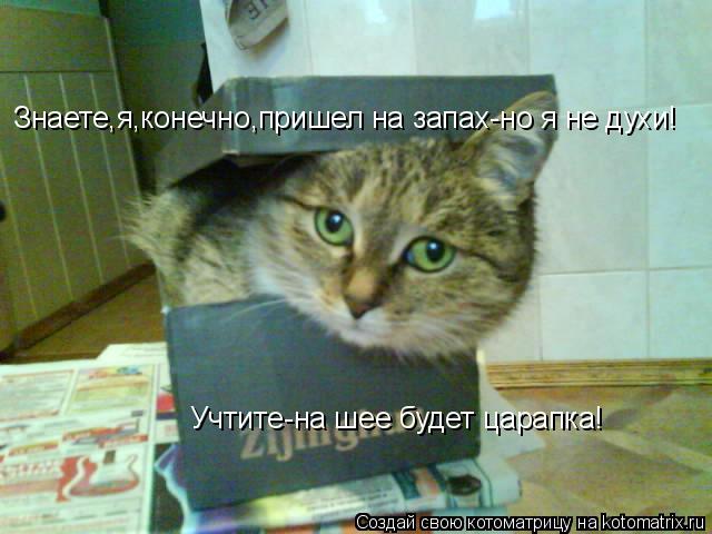 Котоматрица: Знаете,я,конечно,пришел на запах-но я не духи! Учтите-на шее будет царапка!