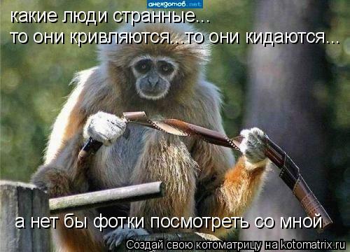 Котоматрица: какие люди странные... то они кривляются...то они кидаются... а нет бы фотки посмотреть со мной