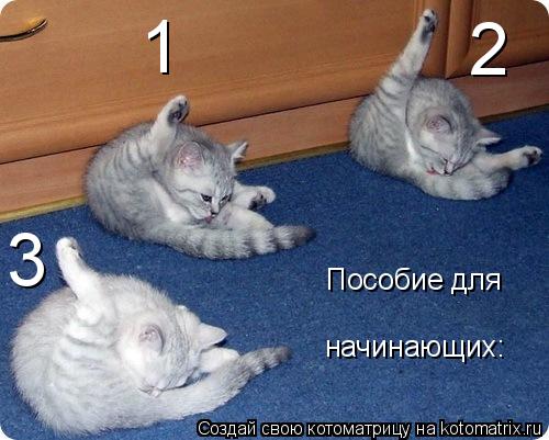 Пособие для начинающих: 1 2 3... Котоматрица: Пособие для начинающих: 1 2 3