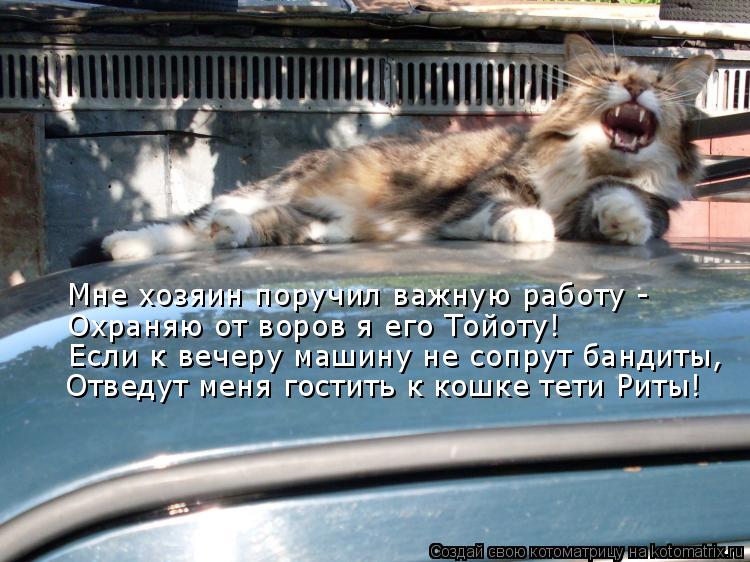 Мне хозяин поручил важную работу - Охраняю от воров я его Тойоту! Если к вечеру машину не сопрут банд... Котоматрица: Мне хозяин поручил важную работу - Охраняю от воров я его Тойоту! Если к вечеру машину не сопрут бандиты, Отведут меня гостить к кошке тети Р