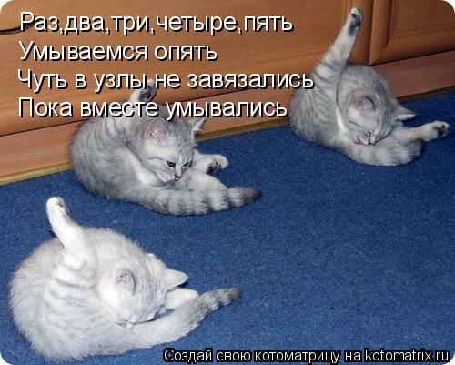Раз,два,три,четыре,пять Умываемся опять Чуть в узлы не завязались Пока вместе умывались... Котоматрица: Раз,два,три,четыре,пять Умываемся опять Чуть в узлы не завязались Пока вместе умывались