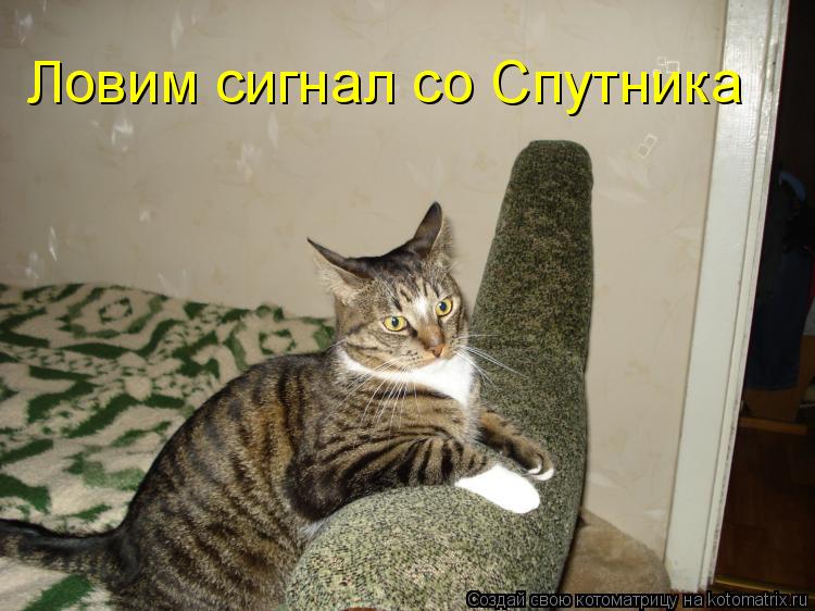 Ловим сигнал со Спутника... Котоматрица: Ловим сигнал со Спутника