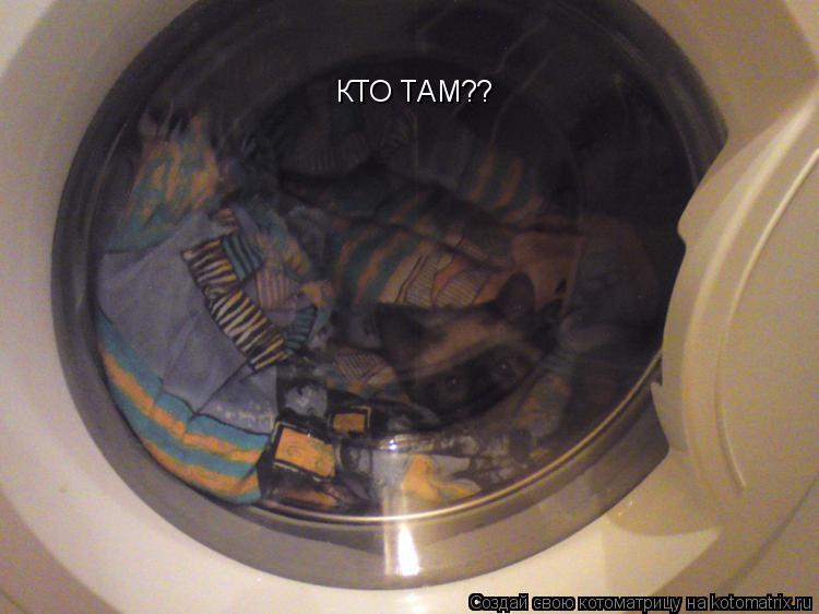 КТО ТАМ??... Котоматрица: КТО ТАМ??
