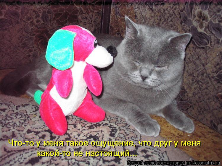Что-то у меня такое ощущение, что друг у меня какой-то не настоящий...... Котоматрица: Что-то у меня такое ощущение, что друг у меня какой-то не настоящий...