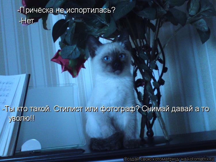 -Причёска не испортилась? -Нет. -Ты кто такой. Стилист или фотограф? Снимай давай а то уволю!!... Котоматрица: -Причёска не испортилась? -Нет. -Ты кто такой. Стилист или фотограф? Снимай давай а то уволю!!