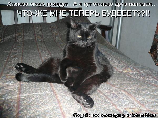 Хозяева скоро приедут... А я тут столько дров наломал... ЧТО-ЖЕ МНЕ ТЕПЕРЬ БУДЕЕЕТ??!!... Котоматрица: Хозяева скоро приедут... А я тут столько дров наломал... ЧТО-ЖЕ МНЕ ТЕПЕРЬ БУДЕЕЕТ??!!