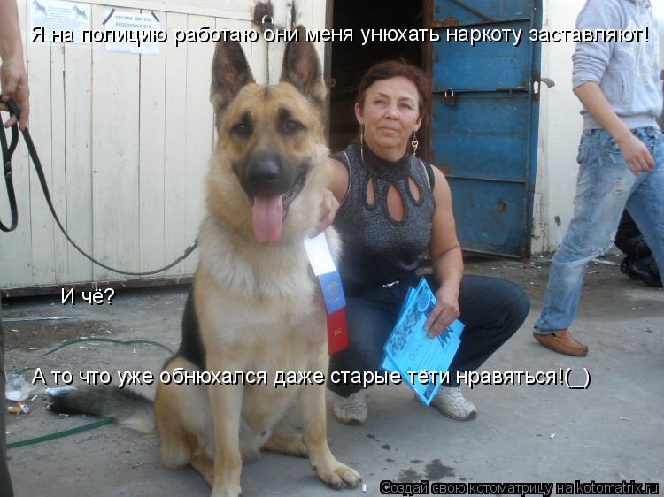 Я на полицию работаю они меня унюхать наркоту заставляют! И чё? А то что уже обнюхался даже старые тё... Котоматрица: Я на полицию работаю они меня унюхать наркоту заставляют! И чё? А то что уже обнюхался даже старые тёти нравяться!(_)
