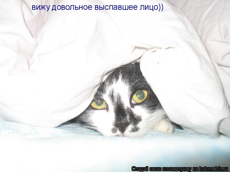 вижу довольное выспавшее лицо))... Котоматрица: вижу довольное выспавшее лицо))