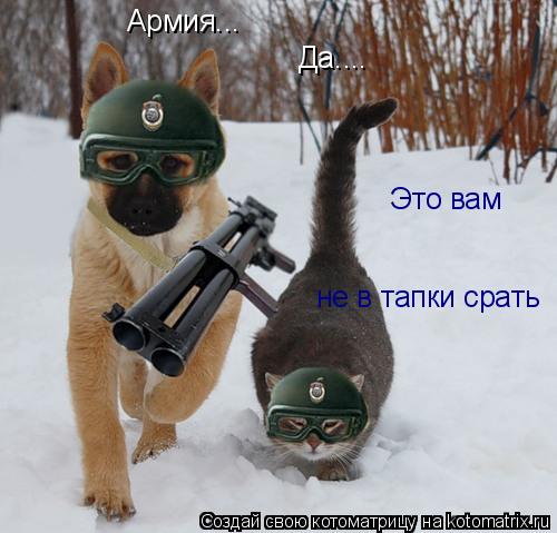 Армия... Да.... Это вам не в тапки срать... Котоматрица: Армия... Да.... Это вам не в тапки срать