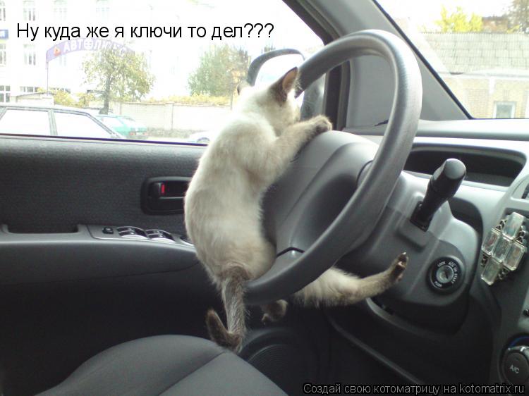 Ну куда же я ключи то дел???... Котоматрица: Ну куда же я ключи то дел???