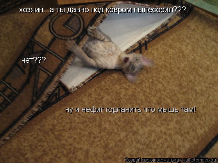 хозяин...а ты давно под ковром пылесосил??? нет??? ну и нефиг горланить что мышь там!... Котоматрица: хозяин...а ты давно под ковром пылесосил??? нет??? ну и нефиг горланить что мышь там!