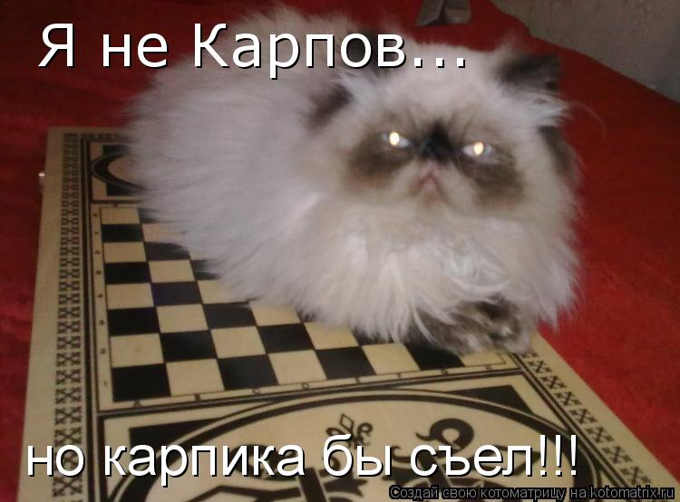 Котоматрица: Я не Карпов... но карпика бы съел!!!