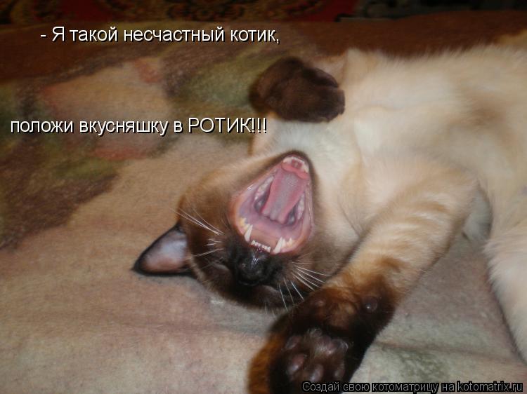 Котоматрица: - Я такой несчастный котик, положи вкусняшку в РОТИК!!!