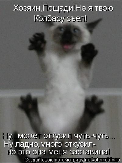 Хозяин,Пощади!Не я твою Колбасу съел! Ну...может откусил чуть-чуть... Ну ладно,много откусил- но это ... Котоматрица: Хозяин,Пощади!Не я твою Колбасу съел! Ну...может откусил чуть-чуть... Ну ладно,много откусил- но это она меня заставила!