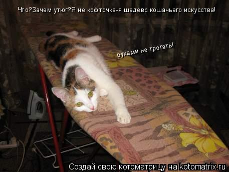 Что?Зачем утюг?Я не кофточка-я шедевр кошачьего искусства! руками не трогать!... Котоматрица: Что?Зачем утюг?Я не кофточка-я шедевр кошачьего искусства! руками не трогать!