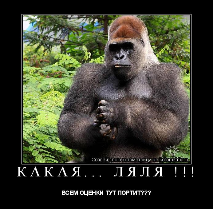 Котоматрица: КАКАЯ... ЛЯЛЯ !!! ВСЕМ ОЦЕНКИ ТУТ ПОРТИТ???