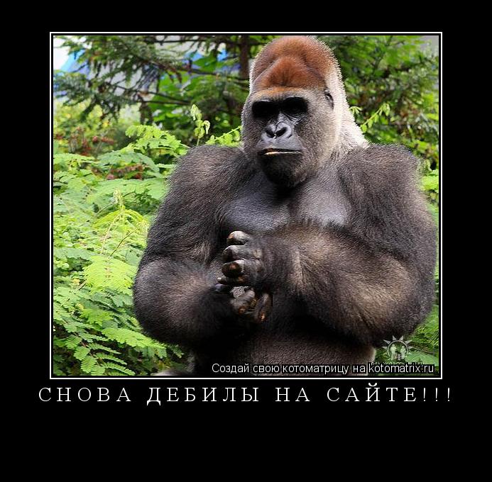 СНОВА ДЕБИЛЫ НА САЙТЕ!!! ... Котоматрица: СНОВА ДЕБИЛЫ НА САЙТЕ!!!