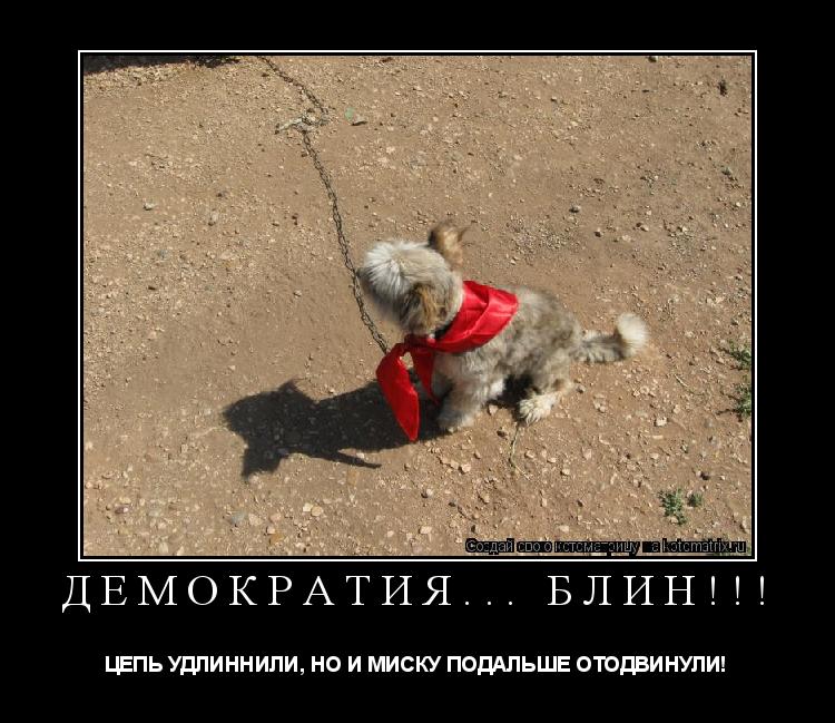 ДЕМОКРАТИЯ... БЛИН!!! ЦЕПЬ УДЛИННИЛИ, НО И МИСКУ ПОДАЛЬШЕ ОТОДВИНУЛИ!... Котоматрица: ДЕМОКРАТИЯ... БЛИН!!! ЦЕПЬ УДЛИННИЛИ, НО И МИСКУ ПОДАЛЬШЕ ОТОДВИНУЛИ!