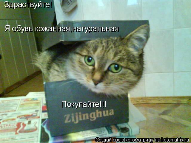 Котоматрица: Здраствуйте! Я обувь кожанная,натуральная Покупайте!!!