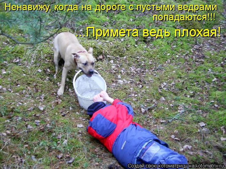 Котоматрица: ...Примета ведь плохая! Ненавижу, когда на дороге с пустыми ведрами попадаются!!!